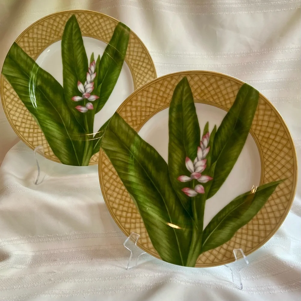 TWO Dinner Plates 222 FIFTH‎ Rain Forest Porcelain Discontinued EUC